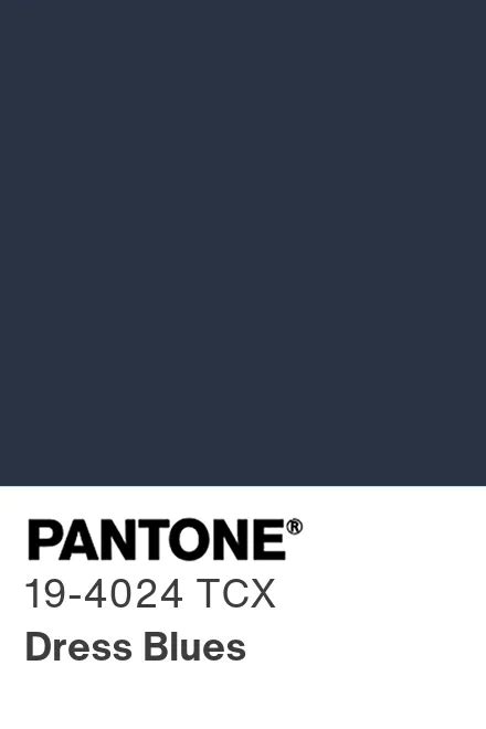 pantone 19 4024 tcx.